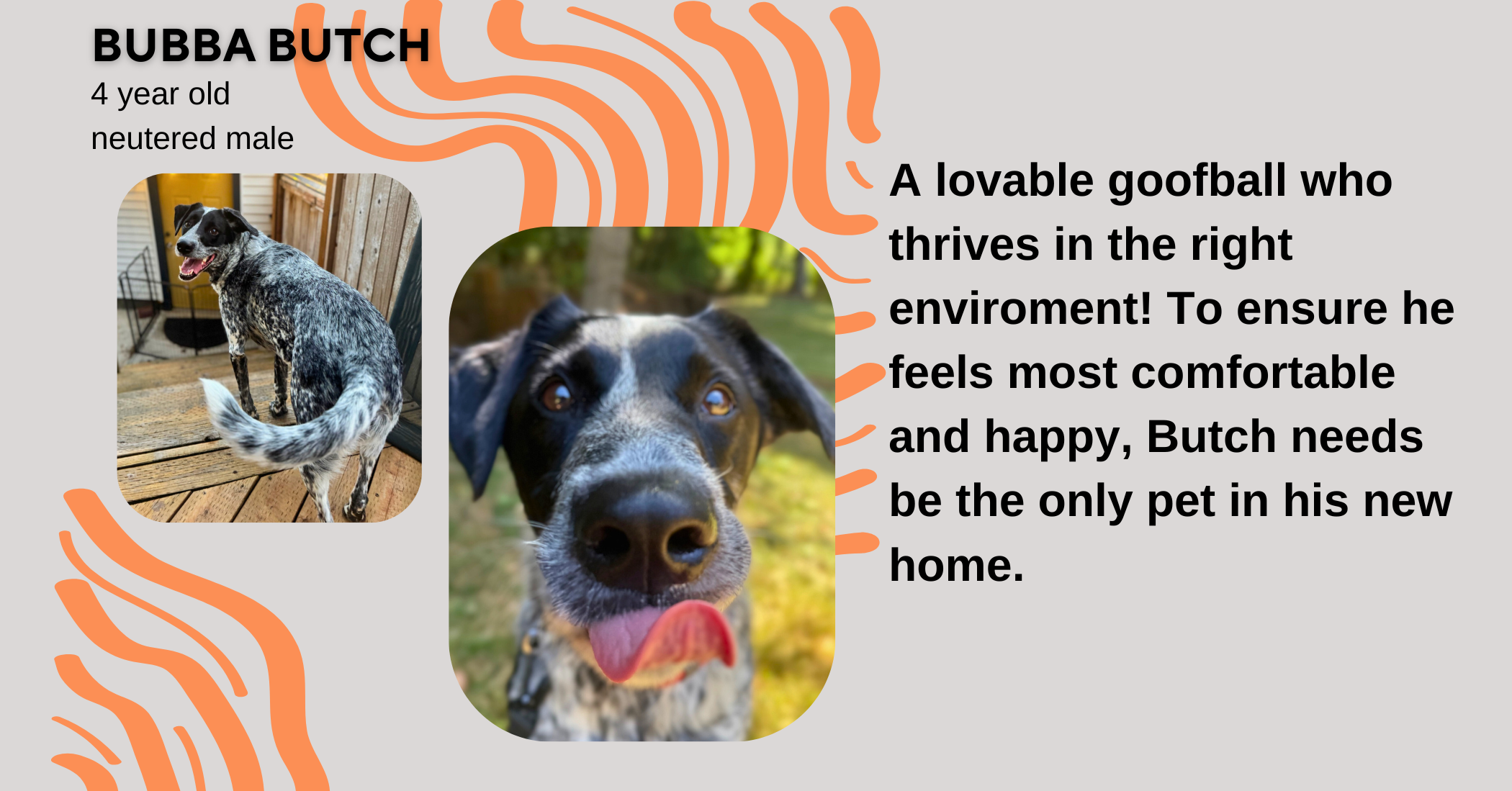 Transform your everyday shopping into meaningful fundraising